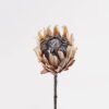 Artificial Flower Protea cynaroides Single Stem GS-77124004-K3_5 Artificial Flower 12*12*68cm Protea cynaroides Single Stem GS-77124004-K3 2025Mar YeahFlower is one of Chinese leading OEM manufacturers and exporters , supplying the silk flowers, wholesale artificial trees
