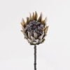 Artificial Flower Protea cynaroides Single Stem GS-77124004_2 Artificial Flower 12*12*68cm Protea cynaroides Single Stem GS-77124004 2025Mar YeahFlower is one of Chinese leading OEM manufacturers and exporters , supplying the silk flowers, wholesale artificial trees