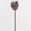 Artificial Flower Protea cynaroides Single Stem GS-77124004_3 Artificial Flower 12*12*68cm Protea cynaroides Single Stem GS-77124004 2025Mar YeahFlower is one of Chinese leading OEM manufacturers and exporters , supplying the silk flowers, wholesale artificial trees
