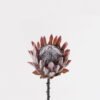 Artificial Flower Protea cynaroides Single Stem GS-77124006-P1_5 Artificial Flower 15*15*68cm Protea cynaroides Single Stem GS-77124006-P1 2025Mar YeahFlower is one of Chinese leading OEM manufacturers and exporters , supplying the silk flowers, wholesale artificial trees
