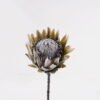 Artificial Flower 15*15*68cm Protea cynaroides Single Stem GS-77124006 2025Mar YeahFlower is one of Chinese leading OEM manufacturers and exporters , supplying the silk flowers, wholesale artificial trees