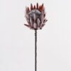 Artificial Flower 15*15*68cm Protea cynaroides Single Stem GS-77124006 2025Mar YeahFlower is one of Chinese leading OEM manufacturers and exporters , supplying the silk flowers, wholesale artificial trees