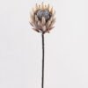 Artificial Flower 15*15*68cm Protea cynaroides Single Stem GS-77124006 2025Mar YeahFlower is one of Chinese leading OEM manufacturers and exporters , supplying the silk flowers, wholesale artificial trees