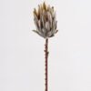Artificial Flower 11*11*53cm Protea cynaroides Single Stem GS-77124007-G1 2025Mar YeahFlower is one of Chinese leading OEM manufacturers and exporters , supplying the silk flowers, wholesale artificial trees