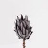 Artificial Flower Protea cynaroides Single Stem GS-77124007_2 Artificial Flower 11*11*53cm Protea cynaroides Single Stem GS-77124007 2025Mar YeahFlower is one of Chinese leading OEM manufacturers and exporters , supplying the silk flowers, wholesale artificial trees
