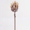 Artificial Flower Protea cynaroides Single Stem GS-77124007_4 Artificial Flower 11*11*53cm Protea cynaroides Single Stem GS-77124007 2025Mar YeahFlower is one of Chinese leading OEM manufacturers and exporters , supplying the silk flowers, wholesale artificial trees