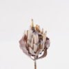 Artificial Flower 10*10*52cm Protea cynaroides Single Stem GS-77124009-Y1 2025Mar YeahFlower is one of Chinese leading OEM manufacturers and exporters , supplying the silk flowers, wholesale artificial trees