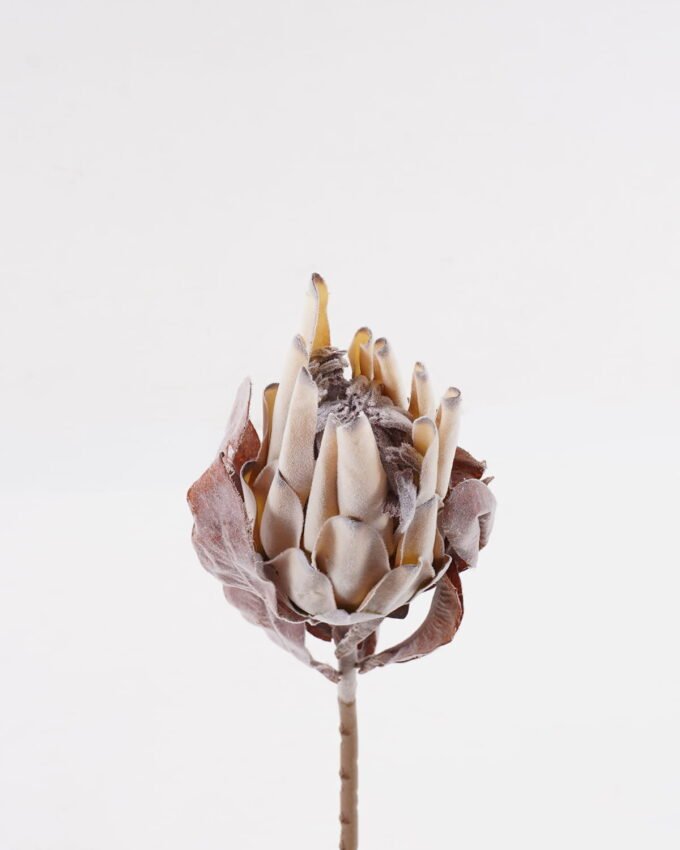Artificial Flower 10*10*52cm Protea cynaroides Single Stem GS-77124009-Y1 2025Mar YeahFlower is one of Chinese leading OEM manufacturers and exporters , supplying the silk flowers, wholesale artificial trees