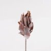 Artificial Flower 10*10*52cm Protea cynaroides Single Stem GS-77124009 2025Mar YeahFlower is one of Chinese leading OEM manufacturers and exporters , supplying the silk flowers, wholesale artificial trees