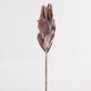 Artificial Flower 10*10*52cm Protea cynaroides Single Stem GS-77124009 2025Mar YeahFlower is one of Chinese leading OEM manufacturers and exporters , supplying the silk flowers, wholesale artificial trees
