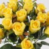 Artificial Flower Rose 18 bush GS-37925001DUP_2 Artificial Flower 23*39cm Rose *18 bush GS-37925001DUP 2025Mar YeahFlower is one of Chinese leading OEM manufacturers and exporters , supplying the silk flowers, wholesale artificial trees