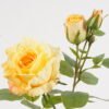 Artificial Flower Rose *3 spray GS-00525004DUP-Y1 2025Mar YeahFlower is one of Chinese leading OEM manufacturers and exporters , supplying the silk flowers, wholesale artificial trees