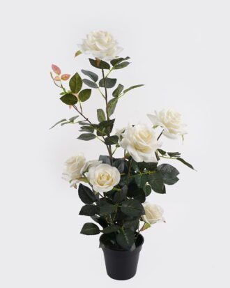Artificial Flower 28*25*65cm Rose in pp pot GS-6660018RP-W1 2025Mar YeahFlower is one of Chinese leading OEM manufacturers and exporters , supplying the silk flowers, wholesale artificial trees Artificial Flower 28*25*65cm Rose in pp pot GS-6660018RP-W1 2025Mar YeahFlower is one of Chinese leading OEM manufacturers and exporters , supplying the silk flowers, wholesale artificial trees