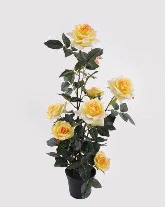 Artificial Flower 28*25*65cm Rose in pp pot GS-6660018RP-Y1 2025Mar YeahFlower is one of Chinese leading OEM manufacturers and exporters , supplying the silk flowers, wholesale artificial trees Artificial Flower 28*25*65cm Rose in pp pot GS-6660018RP-Y1 2025Mar YeahFlower is one of Chinese leading OEM manufacturers and exporters , supplying the silk flowers, wholesale artificial trees