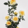 Artificial Flower Rose in pp pot GS-6660018RP-Y1_6 Artificial Flower 28*25*65cm Rose in pp pot GS-6660018RP-Y1 2025Mar YeahFlower is one of Chinese leading OEM manufacturers and exporters , supplying the silk flowers, wholesale artificial trees