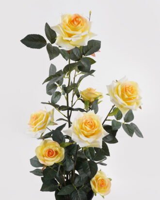 Artificial Flower 28*25*65cm Rose in pp pot GS-6660018RP-Y1 2025Mar YeahFlower is one of Chinese leading OEM manufacturers and exporters , supplying the silk flowers, wholesale artificial trees Artificial Flower 28*25*65cm Rose in pp pot GS-6660018RP-Y1 2025Mar YeahFlower is one of Chinese leading OEM manufacturers and exporters , supplying the silk flowers, wholesale artificial trees
