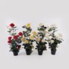 Artificial Flower Rose in pp pot GS-6660018RP_4 Artificial Flower 28*25*65cm Rose in pp pot GS-6660018RP 2025Mar YeahFlower is one of Chinese leading OEM manufacturers and exporters , supplying the silk flowers, wholesale artificial trees