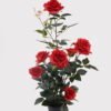 Artificial Flower Rose in pp pot GS-6660018RP_6 Artificial Flower 28*25*65cm Rose in pp pot GS-6660018RP 2025Mar YeahFlower is one of Chinese leading OEM manufacturers and exporters , supplying the silk flowers, wholesale artificial trees