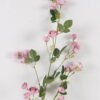 Artificial Flower Rose single stem GS-58825005_2 Artificial Flower 21*21*102cm Rose single stem GS-58825005 2025Mar YeahFlower is one of Chinese leading OEM manufacturers and exporters , supplying the silk flowers, wholesale artificial trees