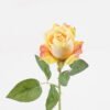 Artificial Flower 12*12*51cm Rose single stem GS-64725002DUP-Y1 2025Mar YeahFlower is one of Chinese leading OEM manufacturers and exporters , supplying the silk flowers, wholesale artificial trees