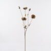 Artificial Flower 23*23*104cm Sakura *5 single stem GS-77324005 2025Apr YeahFlower is one of Chinese leading OEM manufacturers and exporters , supplying the silk flowers, wholesale artificial trees