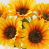 Artificial Flower 23*23*45cm Sunflower *5 bush GS-78025003DUP 2025Apr YeahFlower is one of Chinese leading OEM manufacturers and exporters , supplying the silk flowers, wholesale artificial trees