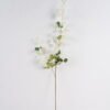 Artificial Flower Thalictrum single stem GS-10624030CT_4 Artificial Flower 30*30*106cm Thalictrum single stem GS-10624030CT 2025Mar YeahFlower is one of Chinese leading OEM manufacturers and exporters , supplying the silk flowers, wholesale artificial trees