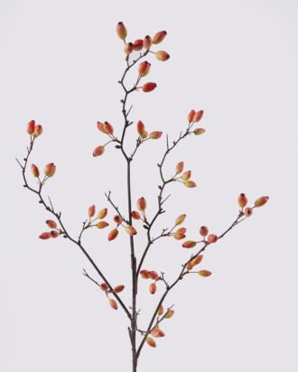 Artificial Flower 22*96CM berry GS-57721010-O2 2025Mar YeahFlower is one of Chinese leading OEM manufacturers and exporters , supplying the silk flowers, wholesale artificial trees Artificial Flower 22*96CM berry GS-57721010-O2 2025Mar YeahFlower is one of Chinese leading OEM manufacturers and exporters , supplying the silk flowers, wholesale artificial trees
