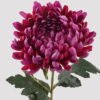 Artificial Flower chrysanthemum X 1  GS-55325001DUP-Z2 2025Mar YeahFlower is one of Chinese leading OEM manufacturers and exporters , supplying the silk flowers, wholesale artificial trees