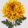 Artificial Flower chrysanthemum X 1  GS-55325001DUP 2025Mar YeahFlower is one of Chinese leading OEM manufacturers and exporters , supplying the silk flowers, wholesale artificial trees