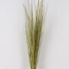 Artificial Grass 17*17*110cm Grass single stem GS-78125002 2025Apr YeahFlower is one of Chinese leading OEM manufacturers and exporters , supplying the silk flowers, wholesale artificial trees