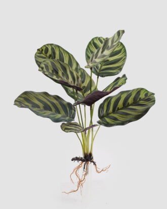 Artificial Plant 30*30*40cm Apple 1eaf *9 bush GS-46723026R-G4 2025Mar YeahFlower is one of Chinese leading OEM manufacturers and exporters , supplying the silk flowers, wholesale artificial trees Artificial Plant 30*30*40cm Apple 1eaf *9 bush GS-46723026R-G4 2025Mar YeahFlower is one of Chinese leading OEM manufacturers and exporters , supplying the silk flowers, wholesale artificial trees