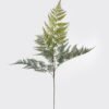 Artificial Plant 45*45*102cm Asplenium laciniatum Don single stem/5 lvs GS-72424014-G1 2025Mar YeahFlower is one of Chinese leading OEM manufacturers and exporters , supplying the silk flowers, wholesale artificial trees