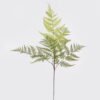 Artificial Plant 45*45*102cm Asplenium laciniatum Don single stem/5 lvs GS-72424014-G1 2025Mar YeahFlower is one of Chinese leading OEM manufacturers and exporters , supplying the silk flowers, wholesale artificial trees