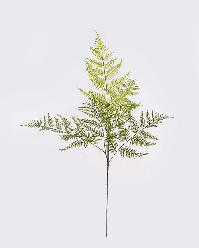 Artificial Plant 45*45*102cm Asplenium laciniatum Don single stem/5 lvs GS-72424014-G1 2025Mar YeahFlower is one of Chinese leading OEM manufacturers and exporters , supplying the silk flowers, wholesale artificial trees