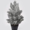 Artificial Plant 13*13*29cm Cypress leaf GS-54024137KIK 2025Mar YeahFlower is one of Chinese leading OEM manufacturers and exporters , supplying the silk flowers, wholesale artificial trees