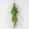 Artificial Plant 20*20*80cm Dicranopteris linearis *45 hanging GS-05525012 2025Mar YeahFlower is one of Chinese leading OEM manufacturers and exporters , supplying the silk flowers, wholesale artificial trees