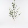 Artificial Plant Eucalyptus Leaf single stem GS-10624029CT_3 Artificial Plant 46*46*114cm Eucalyptus Leaf single stem GS-10624029CT 2025Mar YeahFlower is one of Chinese leading OEM manufacturers and exporters , supplying the silk flowers, wholesale artificial trees