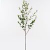 Artificial Plant Eucalyptus Leaf single stem GS-10624029CT_4 Artificial Plant 46*46*114cm Eucalyptus Leaf single stem GS-10624029CT 2025Mar YeahFlower is one of Chinese leading OEM manufacturers and exporters , supplying the silk flowers, wholesale artificial trees
