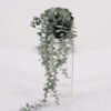 Artificial Plant Eucalyptus in PP pot GS-17725004_5 Artificial Plant 18*18*62cm Eucalyptus in PP pot GS-17725004 2025Mar YeahFlower is one of Chinese leading OEM manufacturers and exporters , supplying the silk flowers, wholesale artificial trees