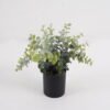 Artificial Plant Eucalyptus in PP pot GS-17725006_5 Artificial Plant 20*20*15cm Eucalyptus in PP pot GS-17725006 2025Mar YeahFlower is one of Chinese leading OEM manufacturers and exporters , supplying the silk flowers, wholesale artificial trees