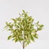 Artificial Plant 35*35*65cm Leaf *10 bush GS-36024010 2025Mar YeahFlower is one of Chinese leading OEM manufacturers and exporters , supplying the silk flowers, wholesale artificial trees
