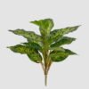 Artificial Plant Leaf bush 14 lvs GS-70223010R_3 Artificial Plant 28*28*36cm Leaf bush /14 lvs GS-70223010R 2025Mar YeahFlower is one of Chinese leading OEM manufacturers and exporters , supplying the silk flowers, wholesale artificial trees
