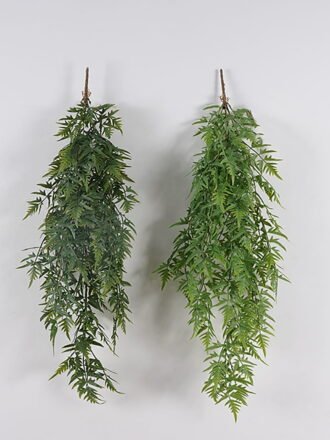 Artificial Plant 20*20*80cm Dicranopteris linearis *45 hanging GS-05525012 2025Mar 3,000+ sqm showroom with thousands of artificial flowers, plants & trees ready for global sourcing.