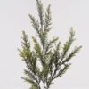 Artificial Plant 19*19*71cm Pine and cypress single stem GS-77725016 2025Apr YeahFlower is one of Chinese leading OEM manufacturers and exporters , supplying the silk flowers, wholesale artificial trees