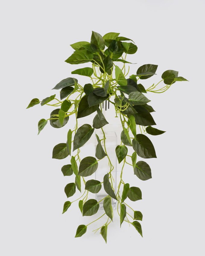 Artificial Plant 50*50*90cm Scindapsus  hanging/80 lvs GS-29824057R2-G1 2025Mar YeahFlower is one of Chinese leading OEM manufacturers and exporters , supplying the silk flowers, wholesale artificial trees