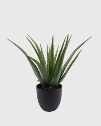 Artificial Table Plants 14*46CM ALOE IN POT GS-4690009R 2025Mar YeahFlower is one of Chinese leading OEM manufacturers and exporters , supplying the silk flowers, wholesale artificial trees Artificial Table Plants 14*46CM ALOE IN POT GS-4690009R 2025Mar YeahFlower is one of Chinese leading OEM manufacturers and exporters , supplying the silk flowers, wholesale artificial trees