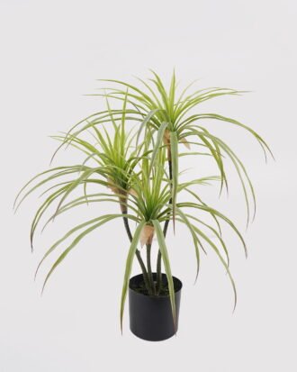 Artificial Table Plants 40*40*66cm Agave americana *3 in PP pot GS-39024001-G2 2025Mar YeahFlower is one of Chinese leading OEM manufacturers and exporters , supplying the silk flowers, wholesale artificial trees Artificial Table Plants 40*40*66cm Agave americana *3 in PP pot GS-39024001-G2 2025Mar YeahFlower is one of Chinese leading OEM manufacturers and exporters , supplying the silk flowers, wholesale artificial trees