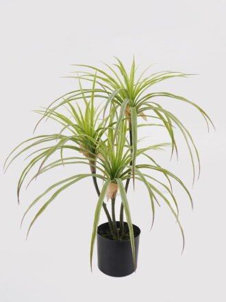 Artificial Table Plants 40*40*66cm Agave americana *3 in PP pot GS-39024001 2025Mar 3,000+ sqm showroom with thousands of artificial flowers, plants & trees ready for global sourcing.