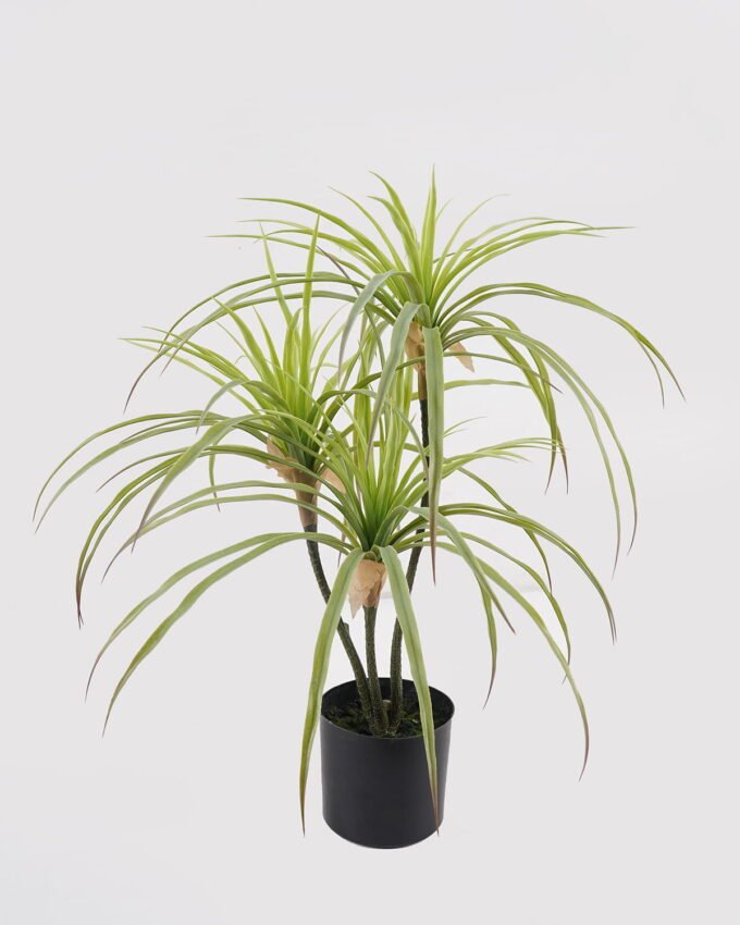 Artificial Table Plants 40*40*66cm Agave americana *3 in PP pot GS-39024001-G2 2025Mar YeahFlower is one of Chinese leading OEM manufacturers and exporters , supplying the silk flowers, wholesale artificial trees